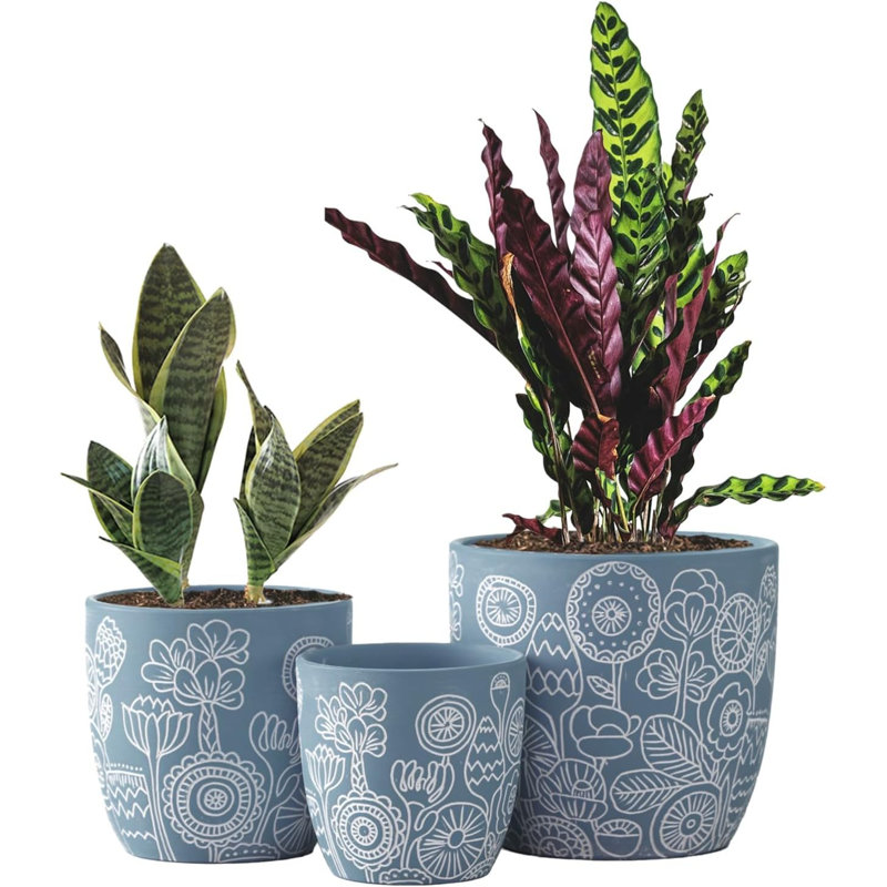 Terracotta Plant Pots Set Of 3