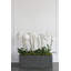 Planter