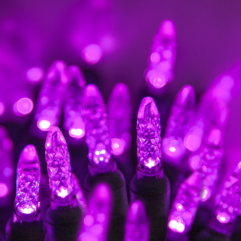 288'' LED String Lights, Purple