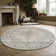 Benson Oriental Indoor Rug
