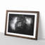 A Silverback Gorilla - Picture Frame Graphic Art Print-56875942-56875947