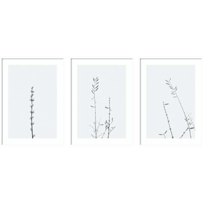 Retro Tennessee Botanical Prints by Adela - 3 Piece Single Picture Frame Photograph Set
