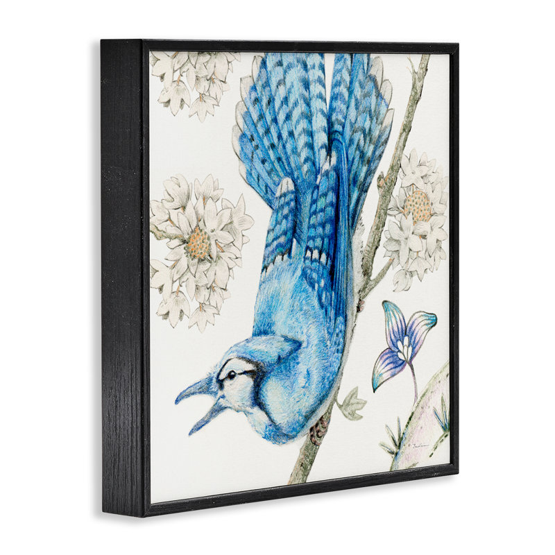 «Blue Jay Perché Florals», art de la giclée encadrée par Evelia Designs, H 17 po x l 17 po, Giclée encadrée noir minuit
