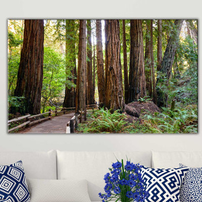 «Boardwalk In The Forest», reproduction de photo sur toile tendue