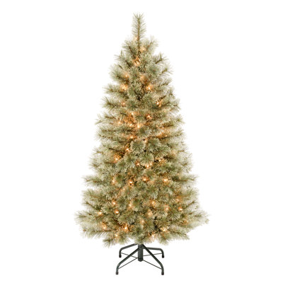 Arcadia Cashmere Pine Tree with Clear Lights