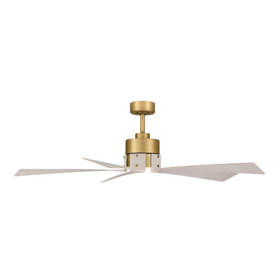 Ventilateur de plafond intelligent 54 "5CCT Oovin