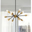 Rempe 12 - Light Black Base Brushed Brass Finish Sputnik Sphere Chandelier