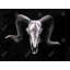 Ram Skull Grunge Style Print On Canvas