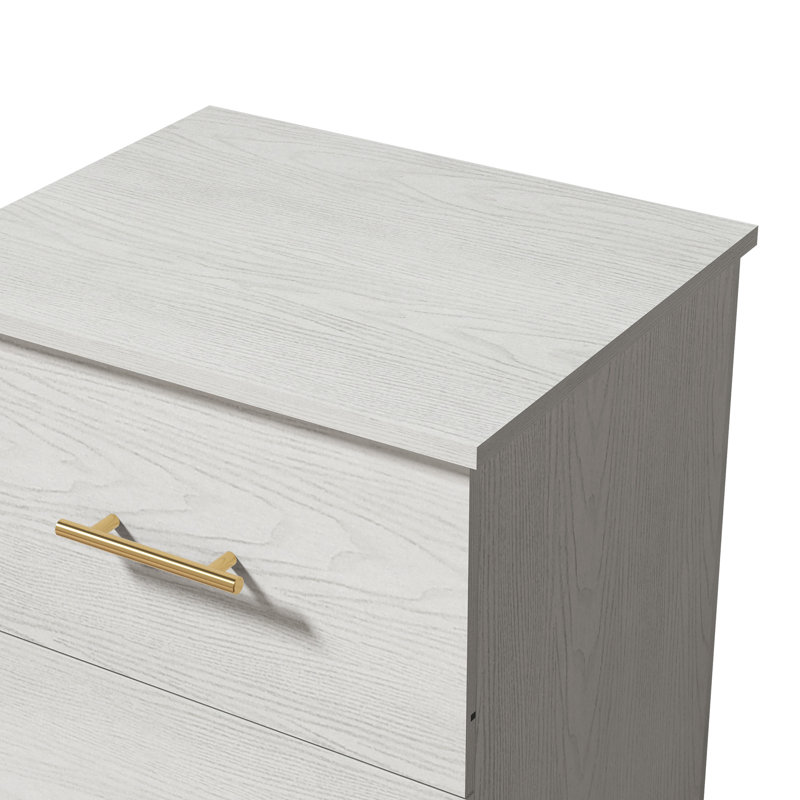Luxeon Modern 2 Drawer Nightstand (Set Of 2), White