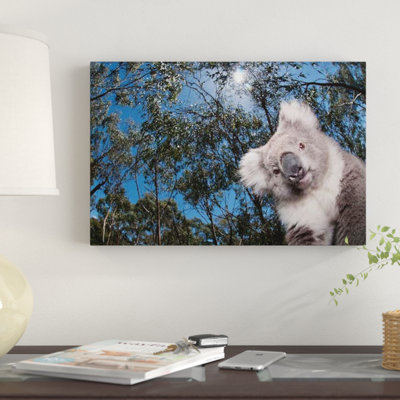 Koala in Gum Tree Forest, Victoria, Australie par Tui De Roy - impression sur toile tendue