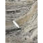 Ahzaria Stone-1571759560