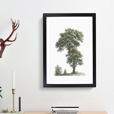Tree Illustration by Pierre-Joseph Redoute - Picture Frame Painting Print
