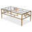 Echeverria Glass Top Single Coffee Table