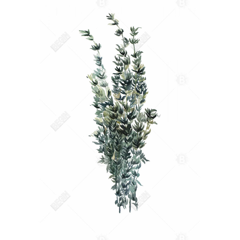 " Thyme Leaves Bundle "