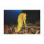 No Frame Print on Canvas-1244178593