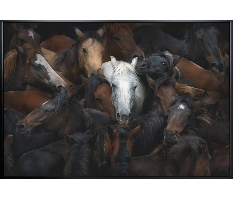 Art mural: Le cheval blanc, Toile tendue, H 36 po x l 24 po x P 1,5 po