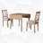 5 - Piece Extendable Dining Table with Chairs-1519574931