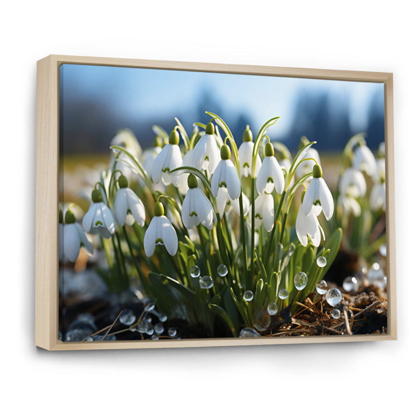 White Green Snowdrops Field III - Floral Wall Decor, H 12 po x l 20 po x P 1 po, Cadre naturel flottant