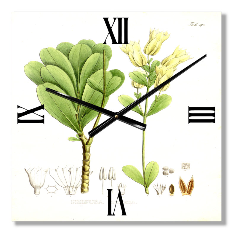 Horloge murale, Moyen