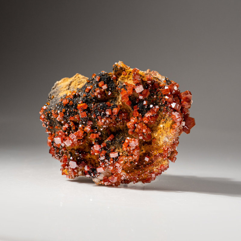 Véritable grappe de cristal de vanadinite sur une matrice marocaine (0,6142 lb)