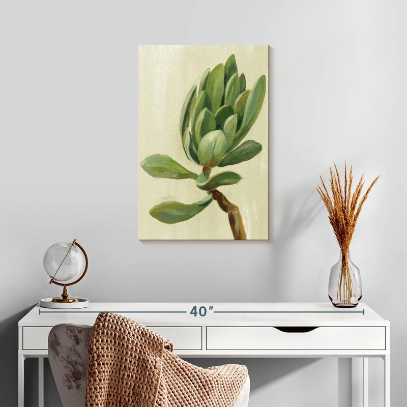 Plante grasse Harnek, H 24 po x l 16 po