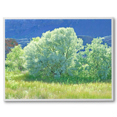 Spring Russian Olive Tree Design Print by Bruce Heinemann