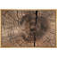 «Brown Log Wood Ring Rings Nature» sur toile-93389187-93389186