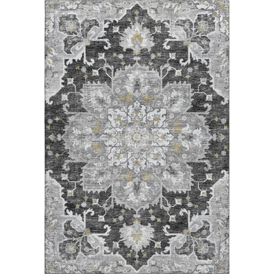 Premium Machine Washable Barayon AMF93 Gray Rug