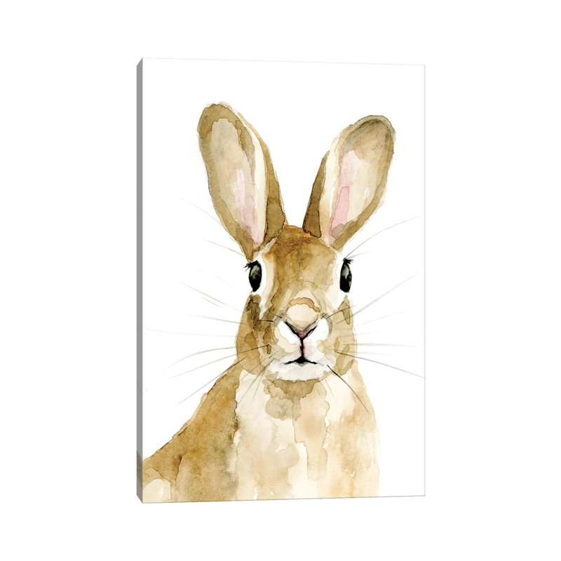 Bunn I by Victoria Barnes - Wrapped Canvas Print, 30.48cm H x 20.32cm W x 1.91cm D