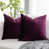 Eggplant purple selected
