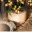 Vase de table Aleksandra-1028184542