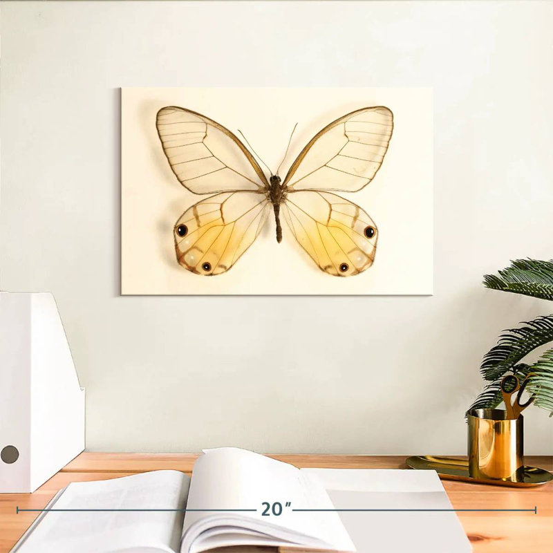 Butterfly Memento, 8" H x 12" W