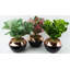 55.88cm Faux Mosaic Plant in Pot-416601037