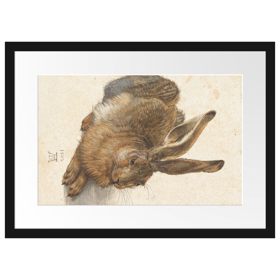 Gerahmter Grafikdruck European Hare von Albrecht Dürer