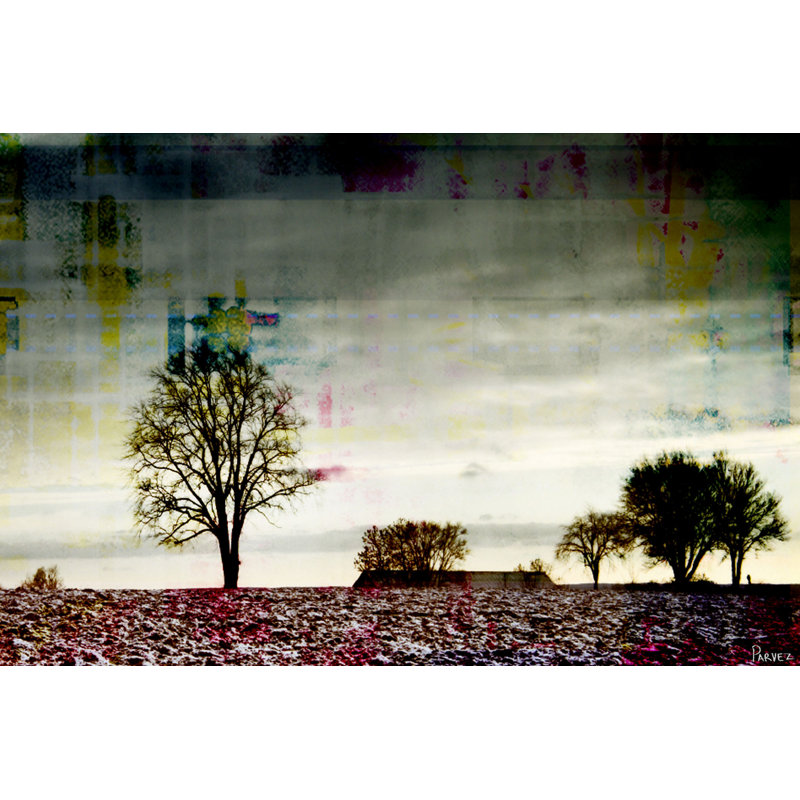 Parvez Taj - Wrapped Canvas Print, 30cm H x 45cm W x 5cm D