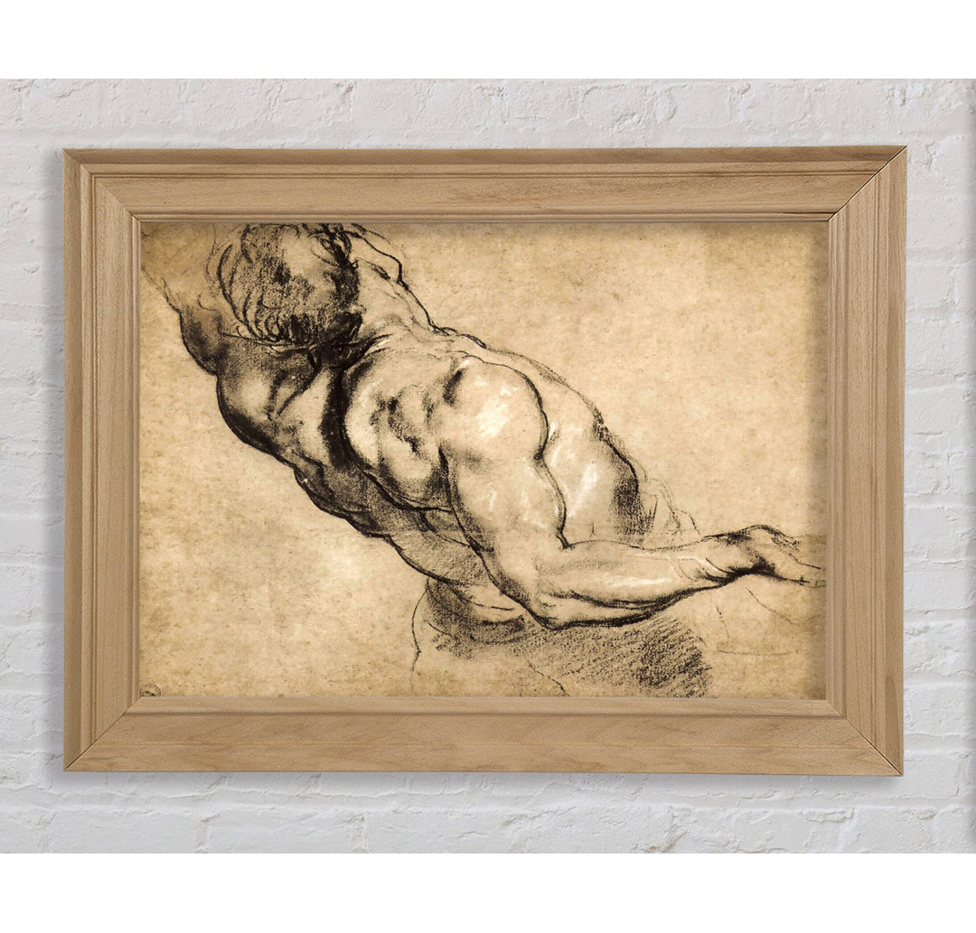 Rubens Study Of Mans Torso - Einzelner Bilderrahmen Kunstdrucke