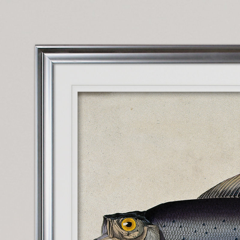 « rétro fish study i », impression, H 28 po x l 38 po x P 1,5 po, Cadre argenté