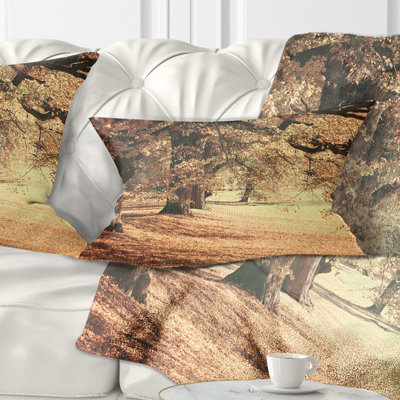 Dreamy Imagery of Autumn Forest - Forest Printed Throw Pillow