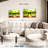 Alcaraz Forest Vision-107676748