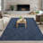 Abrial Washable Chic Soild Color Area Rug with Non-Slip Backing-1403878333