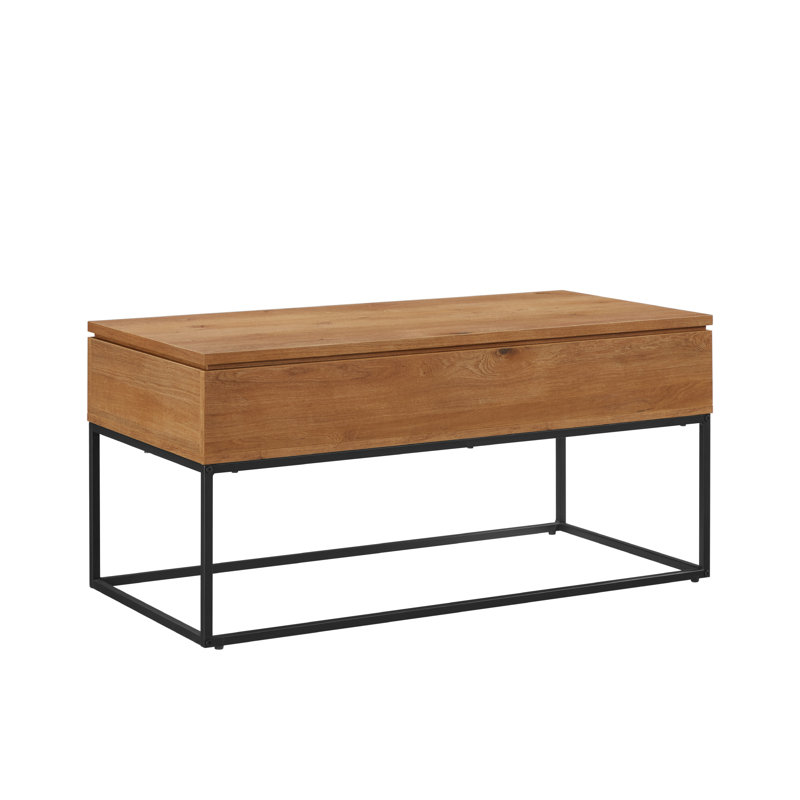 Stoltz 40" Lift Top Coffee Table with Storage