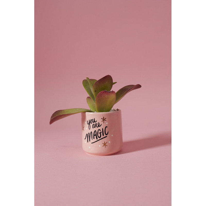 Sweet Sweet Pot
