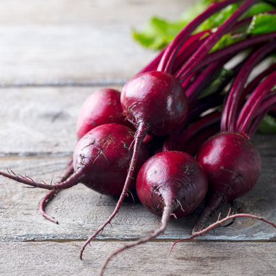 Fresh Organic Beet - Wrapped Canvas Print