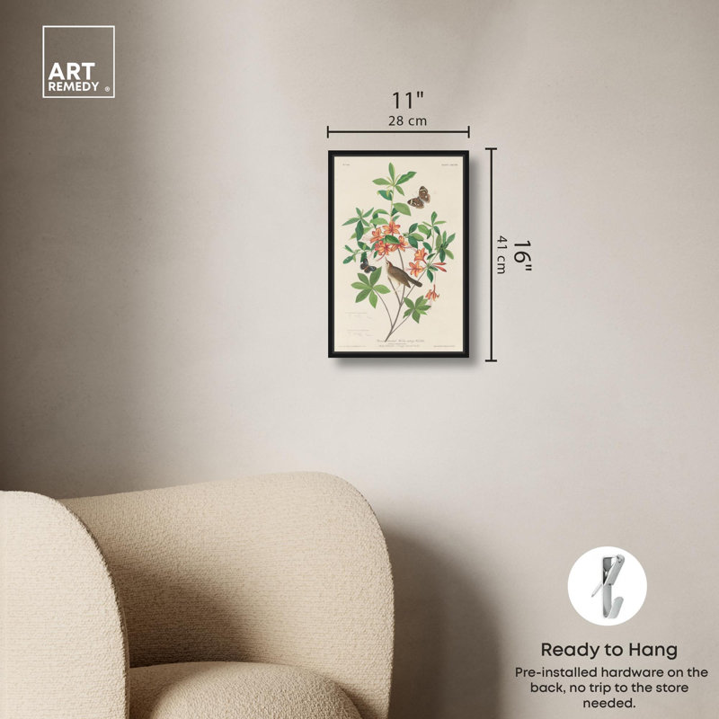 Art Remedy, reproduction d'art sur toile, paruline mangeuse de vers 1834, Cadre flottant noir, H 16 po x l 11 po