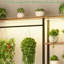 Support pour plantes 70,8 po avec support de culture à 8 niveaux pour plantes d'intérieur