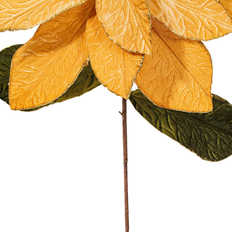Tiges de poinsettia, Or
