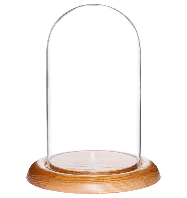 Cloche en verre 4 "x 7" Jenett, Base en chêne