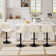 Swivel Upholstered Adjustable Height Bar Counter Stool with Metal Frame (Set of 4)