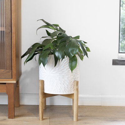 Elayna Ceramic Planter with Wood Stand