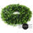 Faux Holly Plastic Wreath-63658157-128837937